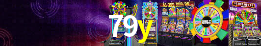 79y